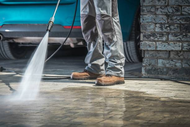 Best Gutter Cleaning  in Clio, AL