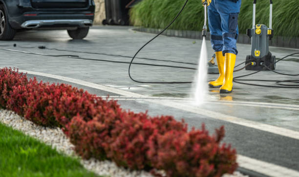 Best Soft Washing  in Clio, AL